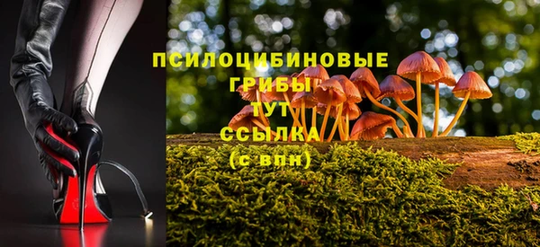 PSILOCYBIN Киреевск